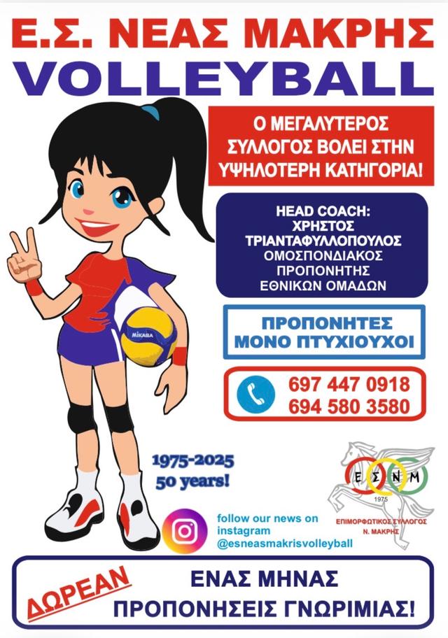 Φυλλάδιο βόλεϊ 